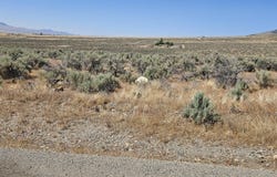 12170 Rye Patch Reservoir Road, Lovelock, NV 89419