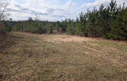 Butter and Egg Road, Troy, AL 36081