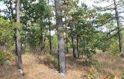 Wagonwheel Road, Stringtown, OK 74525