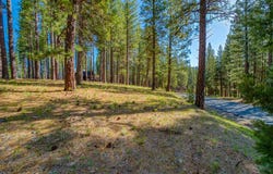 266 Boulder Drive, Clio, CA 96106