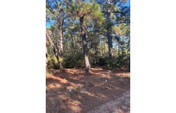 Pine Lodge Dr, Bastrop, TX 78602
