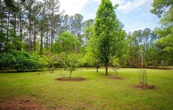 120 Honeymoon Ln, St. Stephen, SC 29479