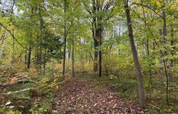 51181 Sand Creek Rd, Bruno, MN 55712