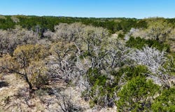 557 CR 371, Pontotoc, TX 76869