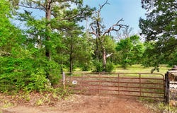 Gibson Road, Athens, TX 75751
