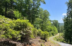Humpback Mountain Road, Spruce Pine, NC 28777
