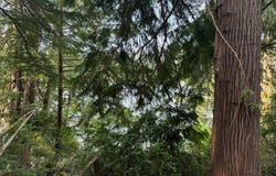 1 HILLTOP Dr, Lakeside, OR 97449