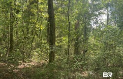 Bear Fork Road, Mobile, AL 36618