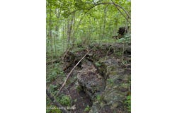 Valley Ln, Shepherdsville, KY 40165