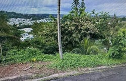 Guaynabo, Guaynabo, PR 00969