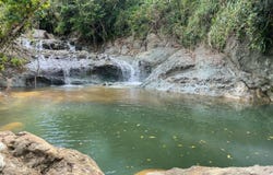 Cayey, Cayey, PR 00736