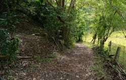 Zanja, Camuy, PR 00627