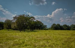 Thomas School Road, Lumberton, MS 39455