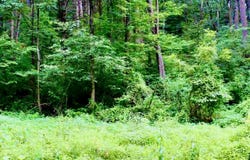 SHELL HOLLOW LN, DAYTON, VA 22821