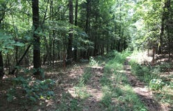 Moores Gin Road, Fairmount, GA 30139