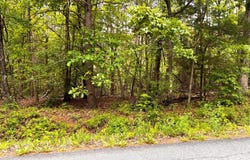Old Tower Hill Rd, Dillwyn, VA 23936
