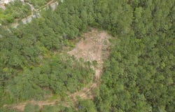 8260 Gin Rd, North Pace, FL 32571