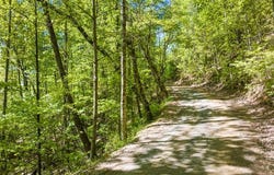 Cub Trail lot: 18, Cherry Log, GA 30522
