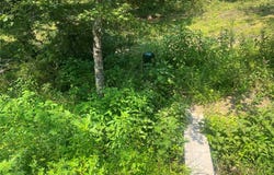 County Road 341, Piedmont, MO 63957