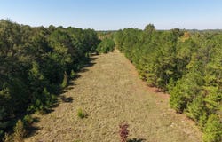CO RD 38, Safford, AL 36728