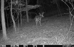 1831 Highway 348, Rudy, AR 72952