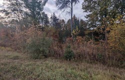 E Huron, Omer, MI 48749