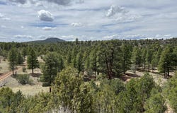 6090 N Cliff Rose, Williams, AZ 86046
