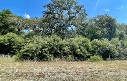 Park Rd 57, Somerville, TX 77879