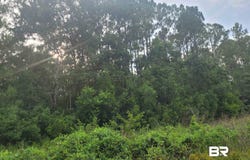 Bellingrath Road, Theodore, AL 36582