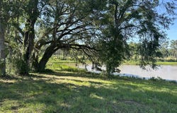 BEN BOSTICK Road, Quincy, FL 32351