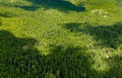 NHN Peach Park Loop, Rollins, MT 59931