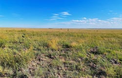 County Road 37, Hartman, CO 81043