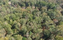 Jackson Arm Rd, Karnack, TX 75661