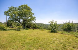 Wolf Trail, Hollister, MO 65672