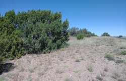 147 Concho Drive, Concho, AZ 85924