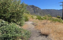 53037 Pine View Drive, Springville, CA 93265