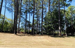 Easy St lot: 3, Frankston, TX 75763