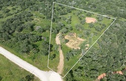 1178 Specklebelly, Columbus, TX 78934
