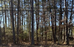 Springfield Road lot: 3, Rocky Mount, NC 27801
