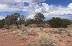 4317 Indian Bend Road, Snowflake, AZ 85937