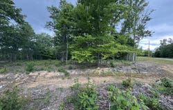 Sheep Ranch Rd, Robbins, TN 37852