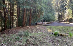 Croy RD, Morgan Hill, CA 95037