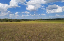N State Highway Uu lot: 1 & 2, Willard, MO 65781