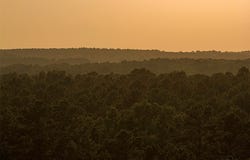 County Road 2136, Tatum, TX 75691