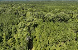 Sam Booker Road, Mansfield, LA 71052