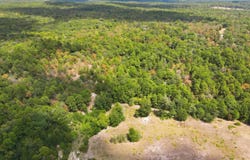 CR 4552, Winnsboro, TX 75494