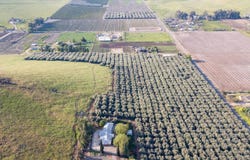 24257 Avenue 234, Lindsay, CA 93247
