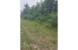 W Foreman Road, Baldwin, MI 49304