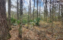 37316 Reinninger Rd, Denham Springs, LA 70706