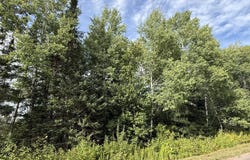 51XX E County Rd M, Gordon, WI 54838